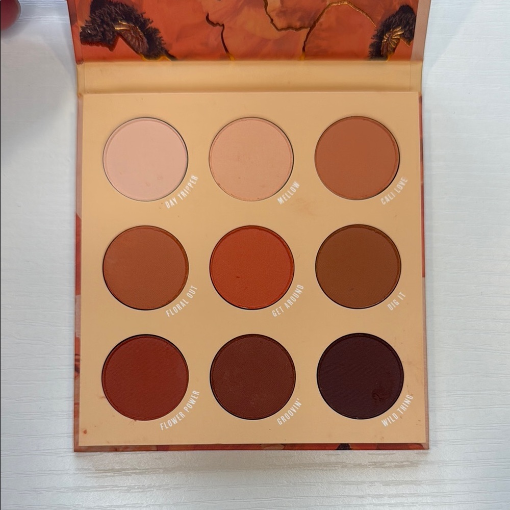 Colourpop Big Poppy Palette